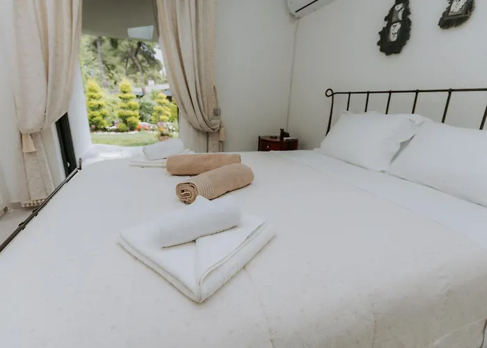 Sani Sani (Chalkidiki)