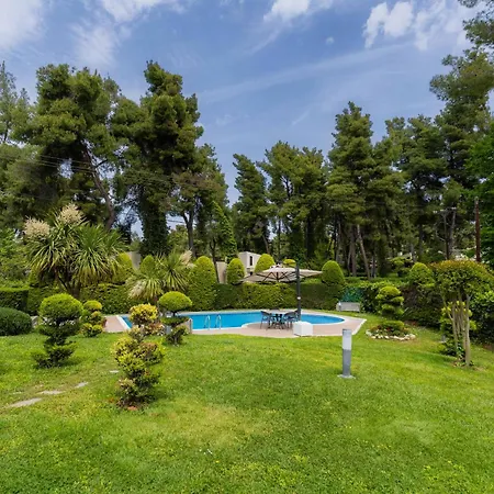 Sani Forest Luxury * Sani (Chalkidiki)