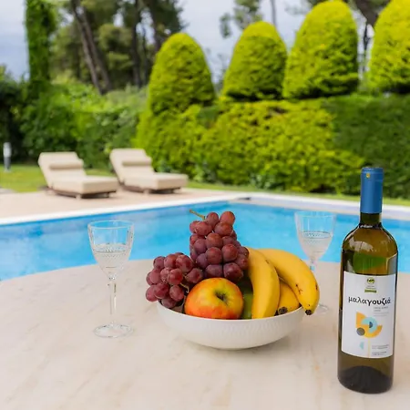Villa Sani Forest Luxury *