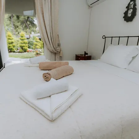 Sani Sani (Chalkidiki)