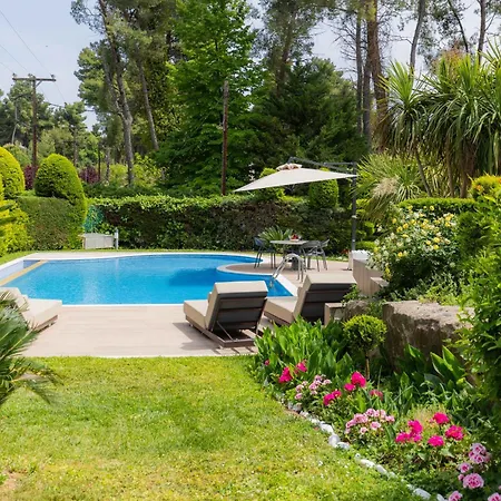 Sani Forest Luxury